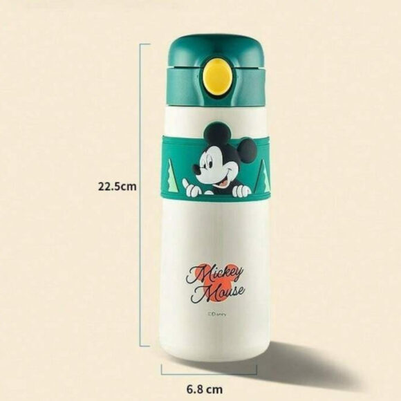 disney cartoon stylish water bottle