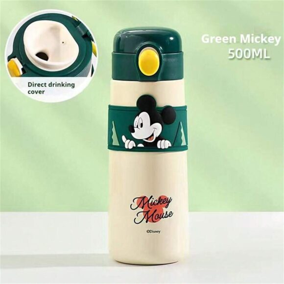 disney cartoon stylish water bottle